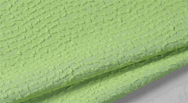 Women's Underwear Fabric